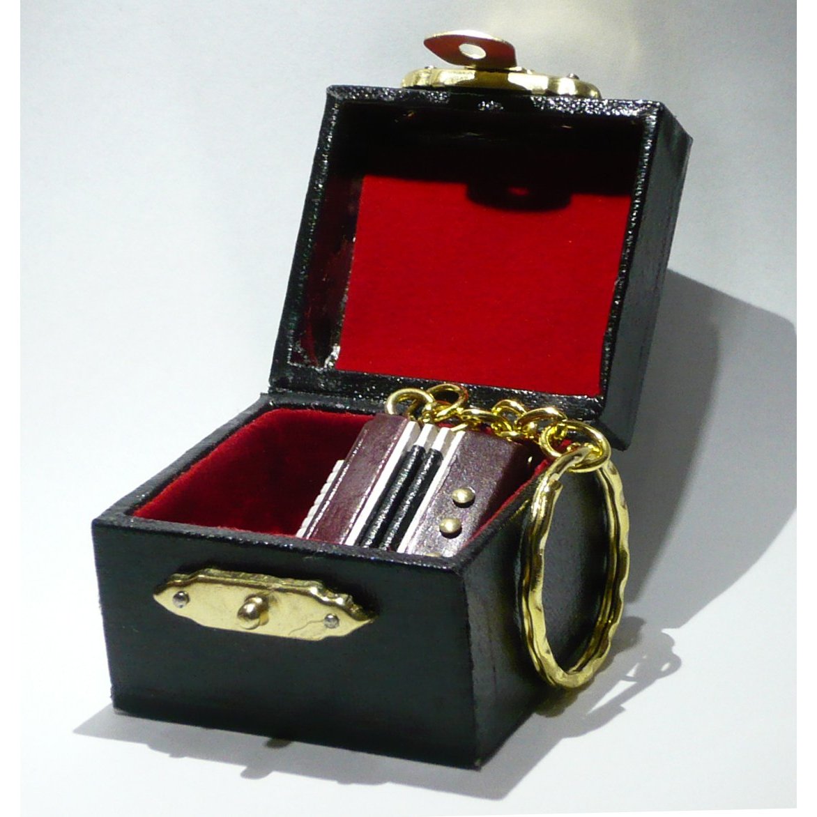 ケースに入れた時のイメージ