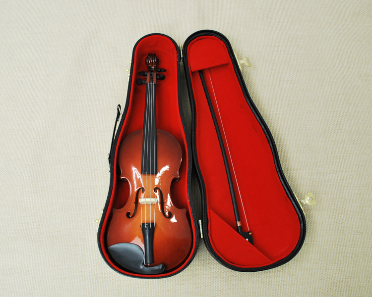 ケースに入れた時のイメージ