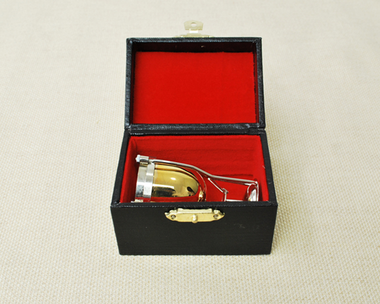 ケースに入れた時のイメージ